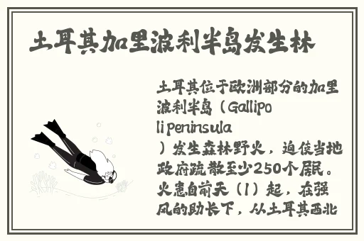 海角破解版教程